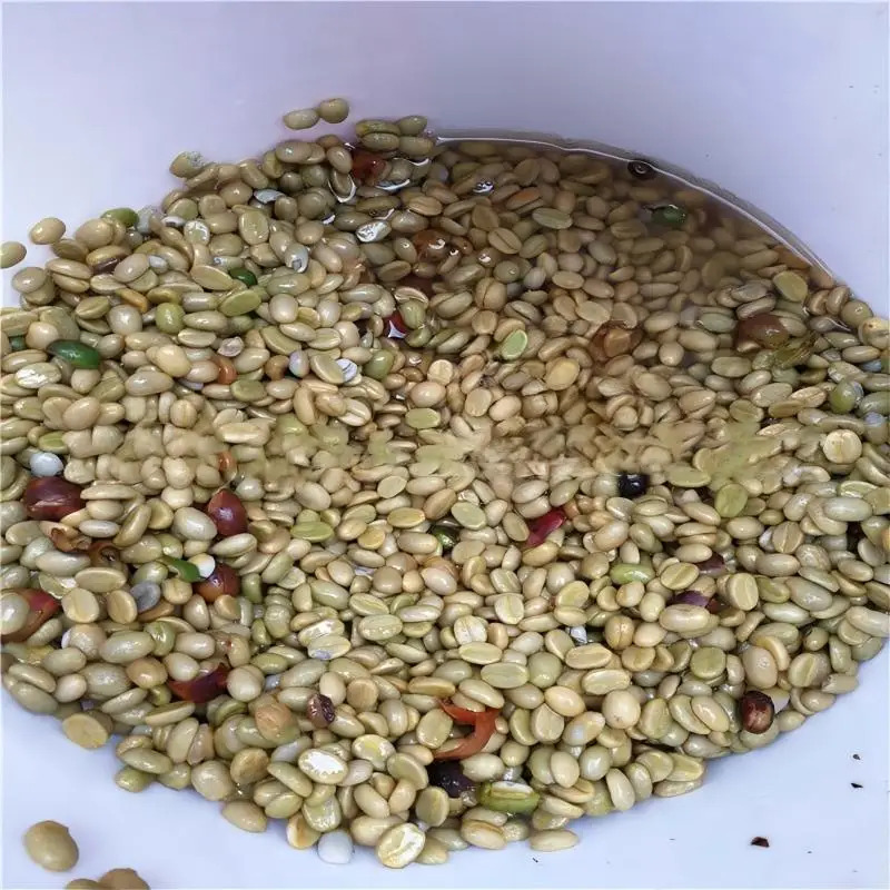 Birui High Productivity Stainl - Coffee Equipment Usa 评论和价格